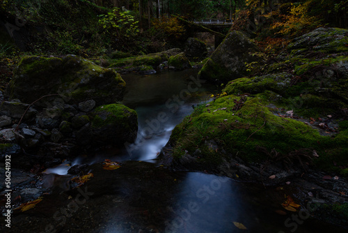 美しく神秘的な山の渓谷