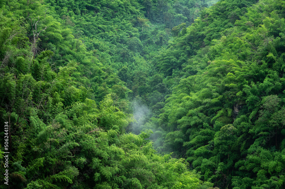 Beautiful natural scenery mountain in fog, clouds rainforest in Thailand. Beautiful natural scenery mountain in fog, clouds rainforest in Thailand.