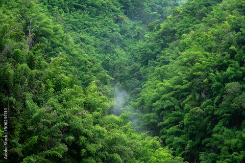 Beautiful natural scenery mountain in fog  clouds rainforest in Thailand.