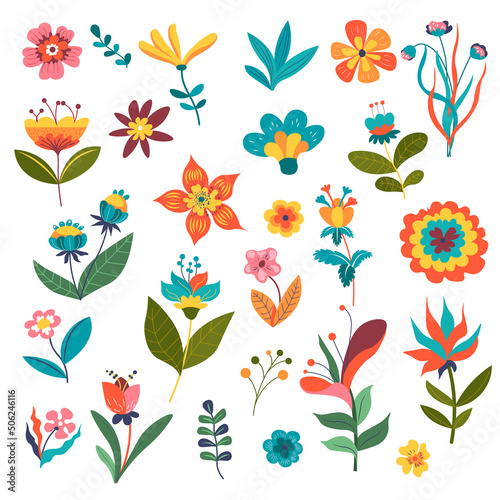 Flowers and botany, flora and blossom wildflower
