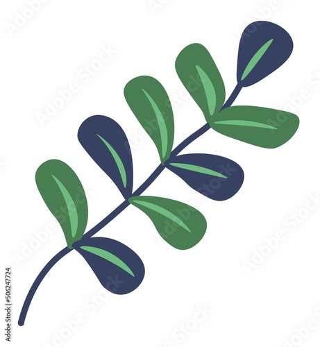 Branch with foliage, leafage and flora leaves