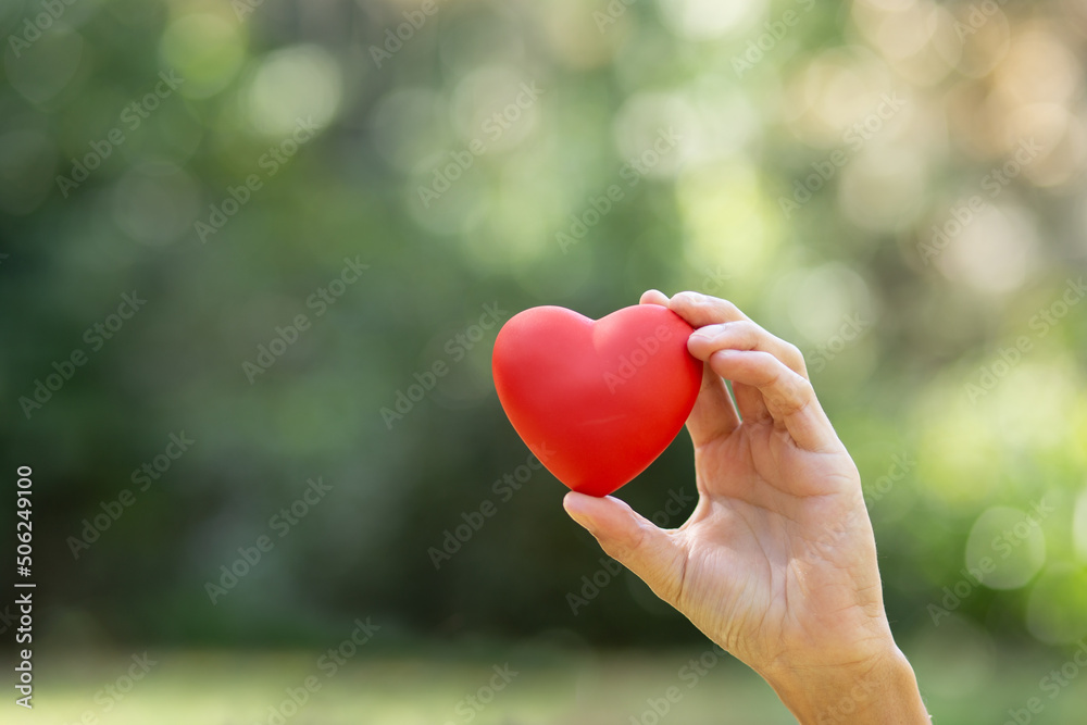 Hand holding beautiful heart with green background. Concept of love, relationship, compassion, organ donation or heart health.