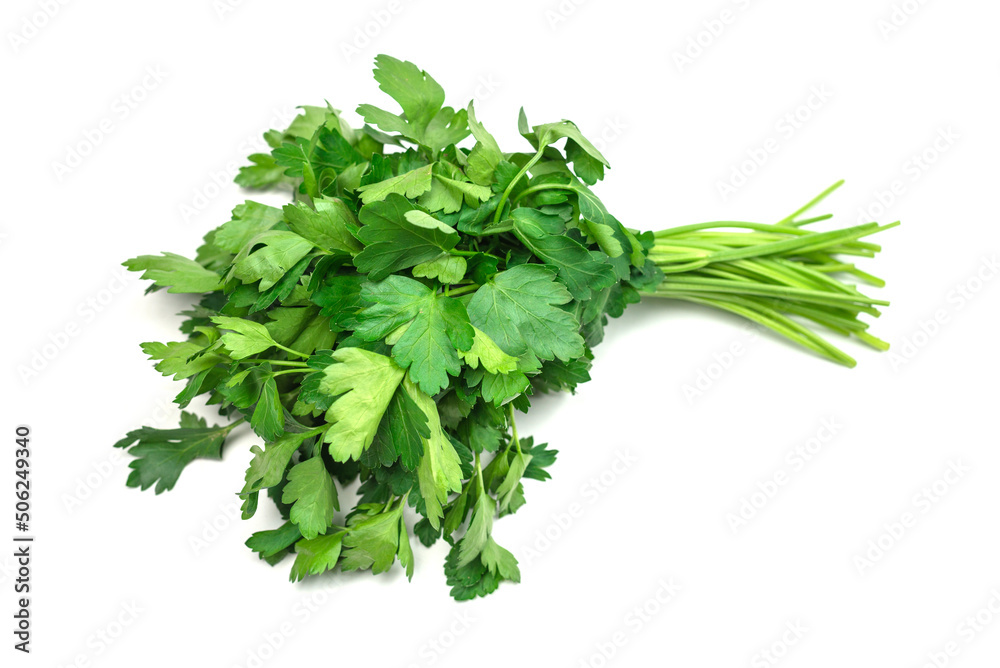 A bunch of parsley isolated on white background. A bunch of parsley isolated on white background.