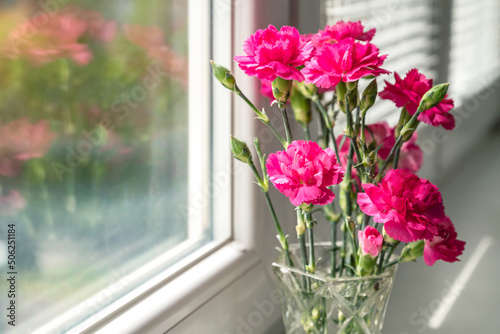 bunch of pink carnation flowers in vase on windowsill reflecting on window glass