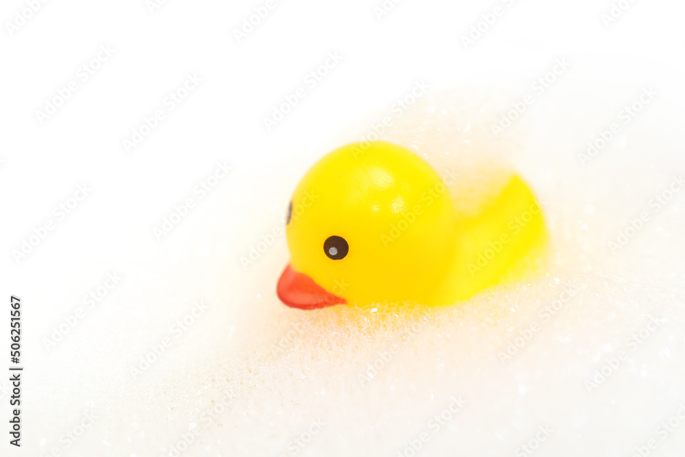 canard de bain canard de bain
