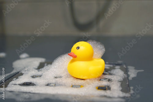 canard de bain