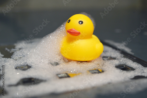 canard de bain