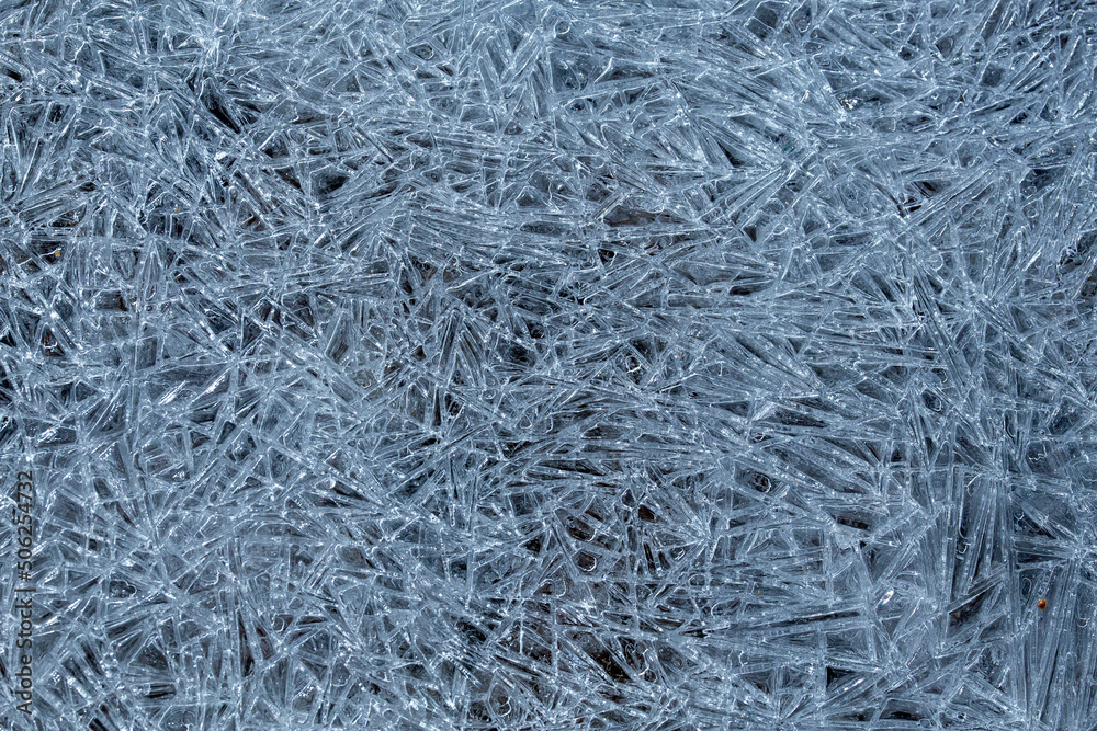 freeze ice freeze ice