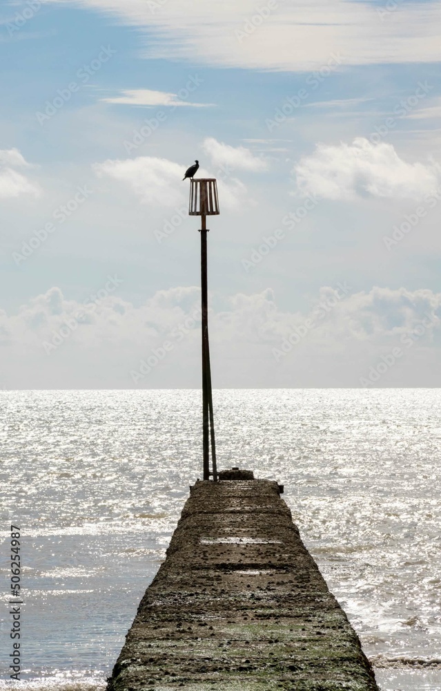 cormorant perched on a seaside sentry a navigational marker looking out to sea