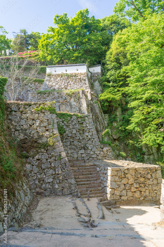備中松山城の石垣、5月撮影