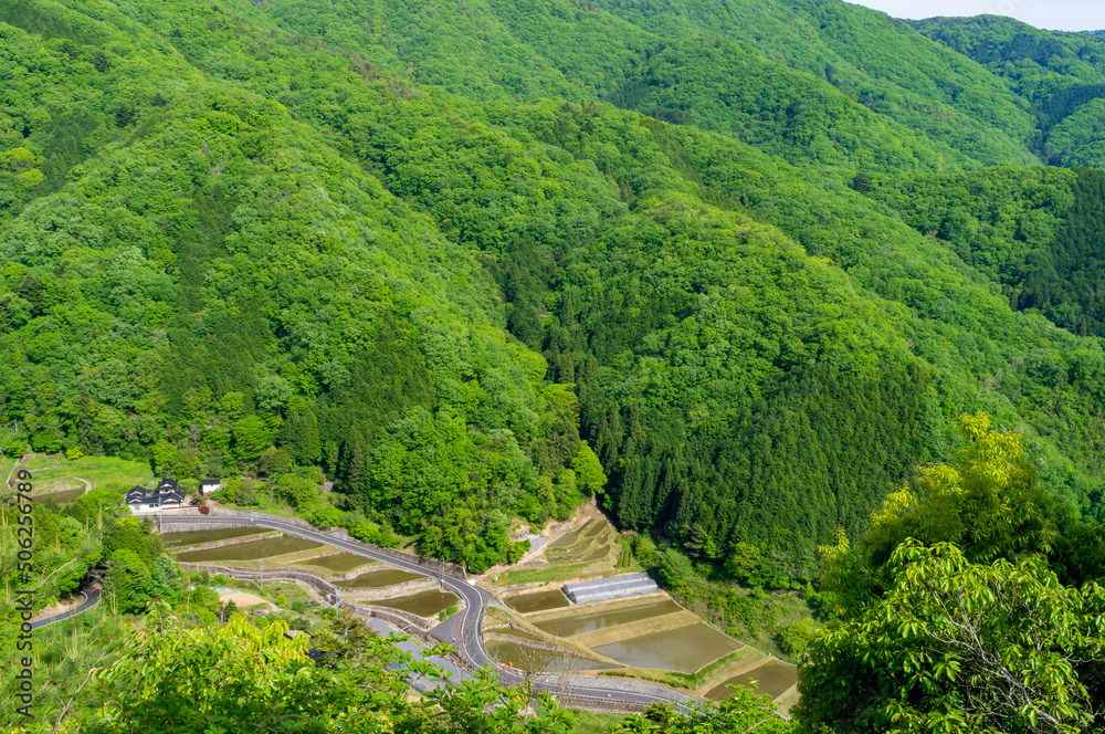 備中松山城付近の棚田