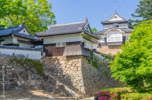 Obraz na płótnie 備中松山城、日本、岡山、5月撮影 w salonie