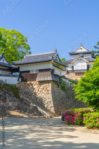 Obraz na płótnie 備中松山城、日本、岡山、5月撮影 w salonie