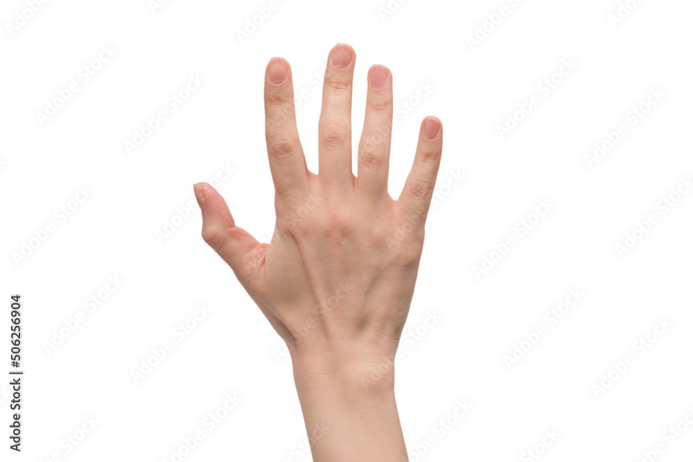 Woman hand isolated on a white background. Woman hand isolated on a white background.