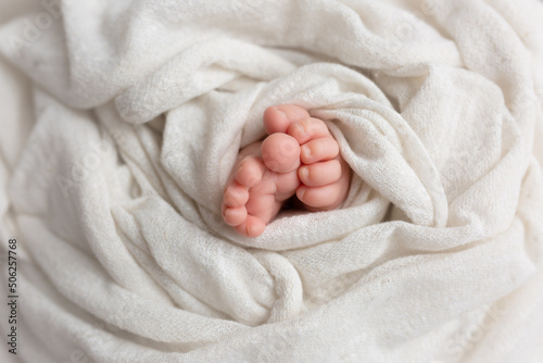 small feet of a newborn baby on a white background © Svetlana