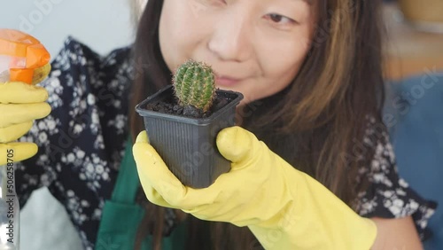 Woman replanting a home plant Cereus succulent cactus in yellow gloves in a new pot, home plant care concept, life hack working with sharp cactus stems photo