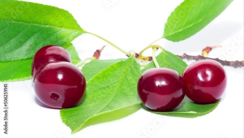 Cherry with leaves isolated on a white background.