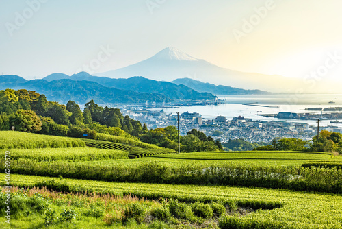 静岡県静岡市の日本平から新緑のお茶畑と富士山