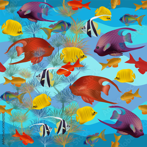 Seamless pattern, underwater card with tropical fish. vector illustration