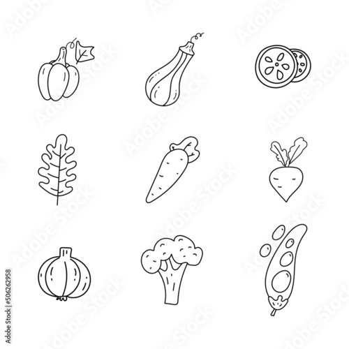 vegetables doodle vector illustration set