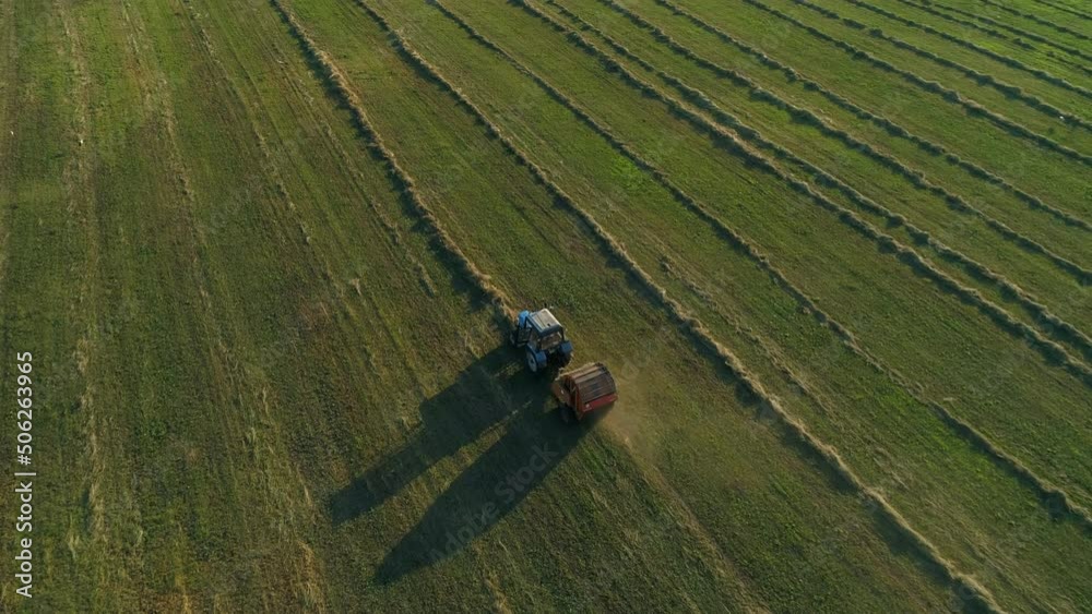 Aerial view tractor with baling machine making silage bales on farmland at agricultural field. Drone shot haystack and harvesting dry grass for agriculture. Farmers season to cut and harvest crops Aerial view tractor with baling machine making silage bales on farmland at agricultural field. Drone shot haystack and harvesting dry grass for agriculture. Farmers season to cut and harvest crops