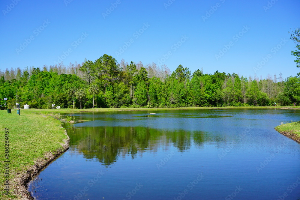 Fototapeta premium Beautiful park at Tampa in Florida 