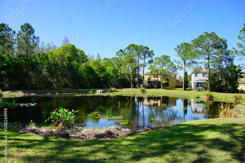 A pond in a community of Florida 