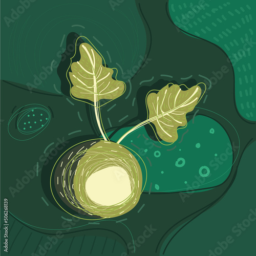 green vegetable vector icon on abstract background