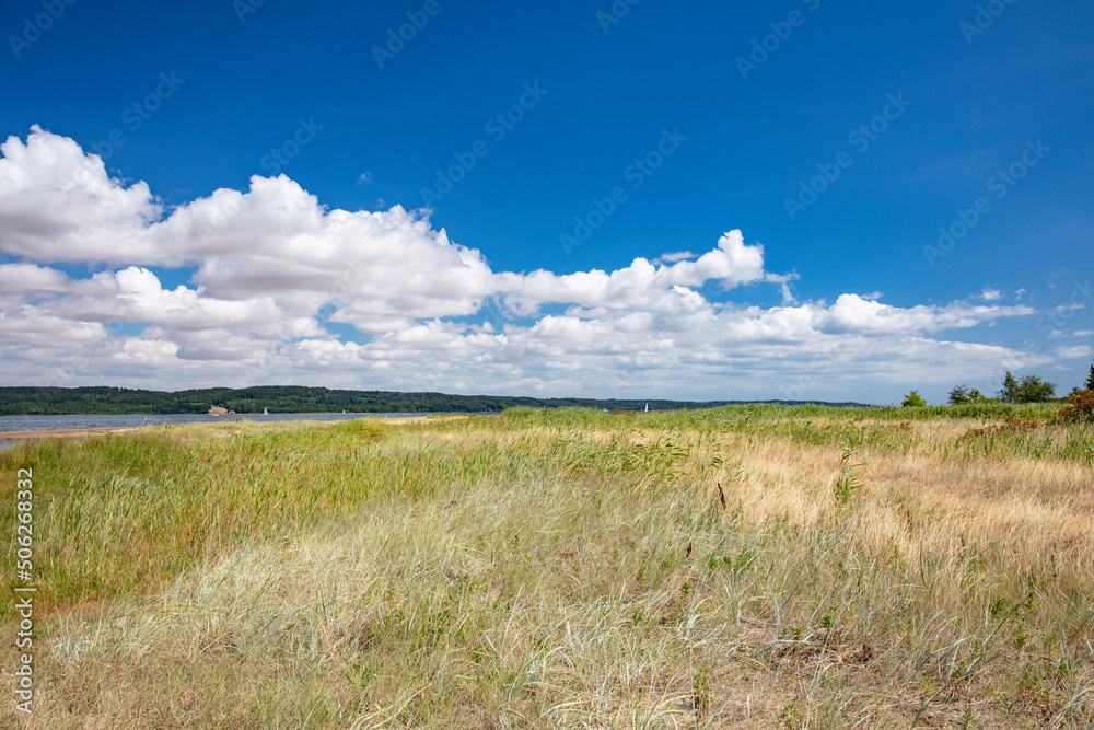 On trip to Mørkholt beach in Denmark,scandinavia,Europe