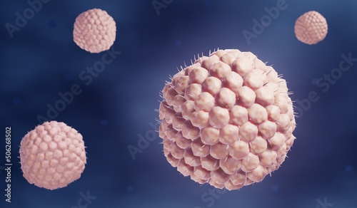 Varicella-zoster virus causing Chickenpox (varicella) or Shingles (herpes zoster) photo