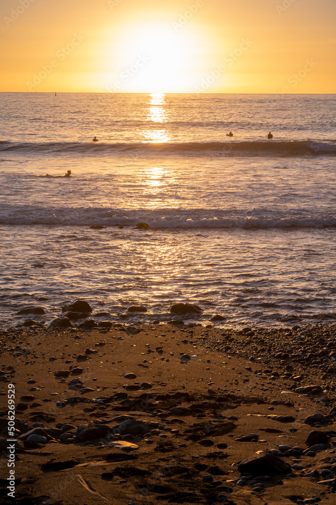 Group of surfers trains in cold water of Atlantic ocean on sunset, Playa de las Americas, South of Tenerife