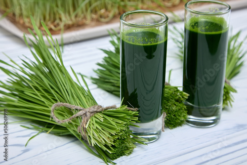 In glass glasses, a vitamin drink of a rich dark green color from wheat microgreens is poured to the brim. Wheatgrass strengthens the immune system helps fight chronic fatigue