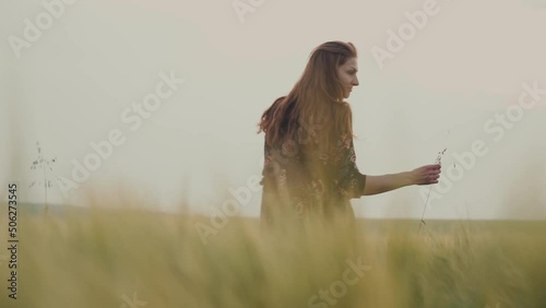 Young slender woman in a dark summer dress stands among a field of wheat, tenderly touching ears of wheat.