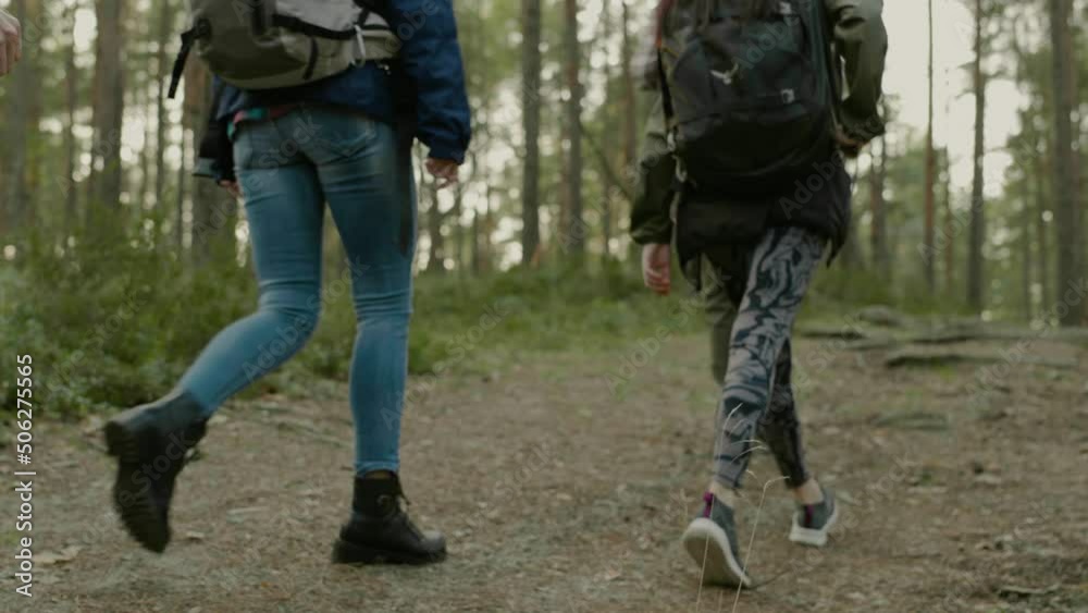 Group of people hiking in a forest Group of people hiking in a forest