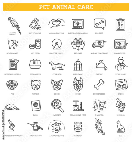 Veterinarian icons set. Outline set of veterinarian vector icons