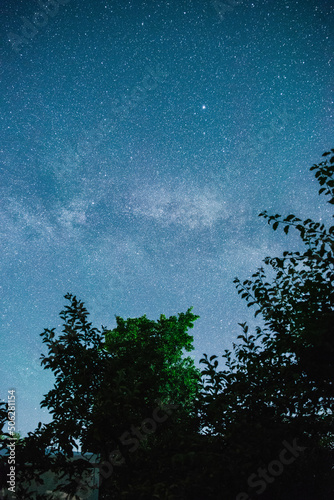 Starry sky and summer meadow with tree. High level of noise