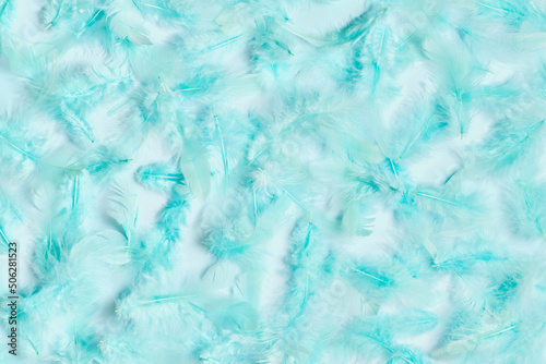 Blue feathers on blue background, ,light blue texture