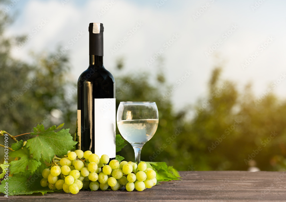 White wine bottle and full glass on the garden table. Fresh grapes and wine on wooden table. Vintage harvest concept.