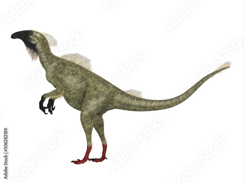 Beipiaosaurus Cretaceous Dinosaur - Beipiaosaurus was a feathered theropod dinosaur that lived in China during the Cretaceous Period. © Catmando