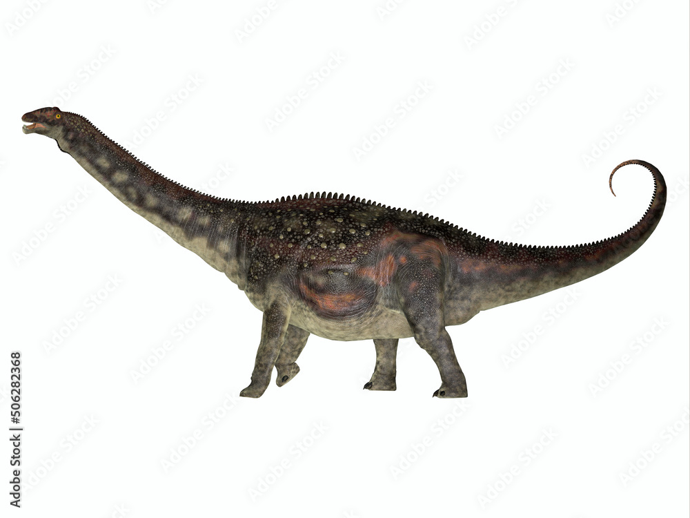 Fototapeta premium Diamantinasaurus Herbivore Dinosaur - Diamantinasaurus was a herbivorous sauropod dinosaur that lived in herds in Australia during the Cretaceous Period.