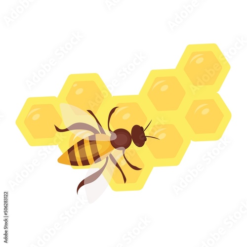 Bee and honeycomb. Vector illustration in flat stile.