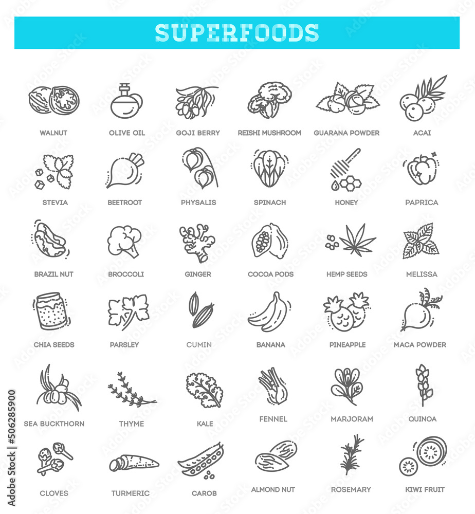 Vector Organic superfoods. Antioxidant food