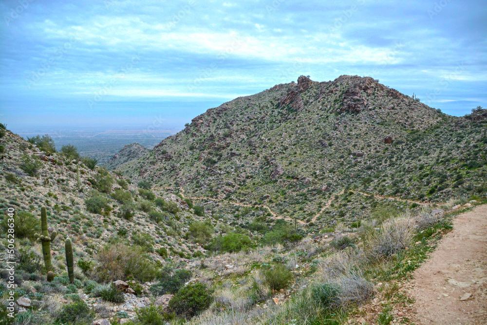 Obraz premium landscape with blue sky