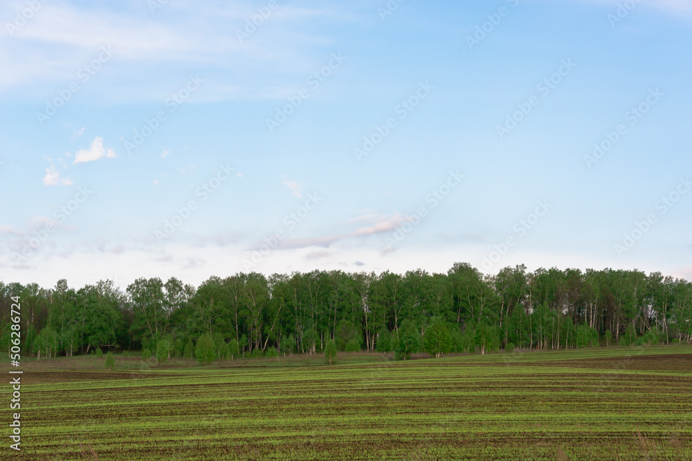 Spring nature, hills, trees and field. Spring nature, hills, trees and field.