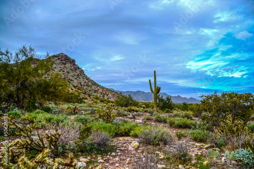 Arizona landscape with blue sky at White Tank Regional Park in Maricopa County photo