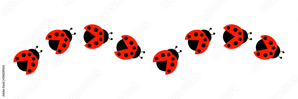 Ladybugs line icon group. Cute ladybirds set. Vector illustration isolated on white. Ladybugs line icon group. Cute ladybirds set. Vector illustration isolated on white.