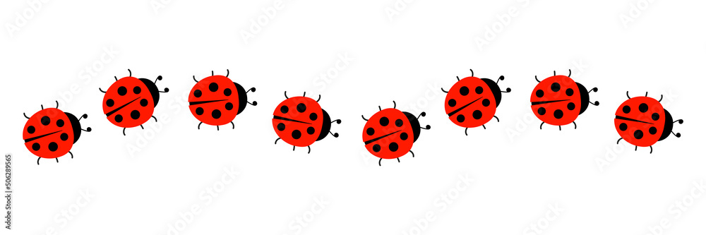 Ladybugs line icon group. Cute ladybirds set. Vector illustration isolated on white. Ladybugs line icon group. Cute ladybirds set. Vector illustration isolated on white.