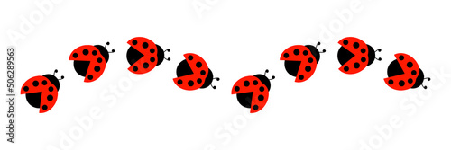 Ladybugs line icon group. Cute ladybirds set. Vector illustration isolated on white.	