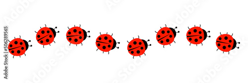 Ladybugs line icon group. Cute ladybirds set. Vector illustration isolated on white. 