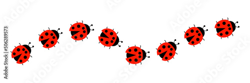 Ladybugs line icon group. Cute ladybirds set. Vector illustration isolated on white.	